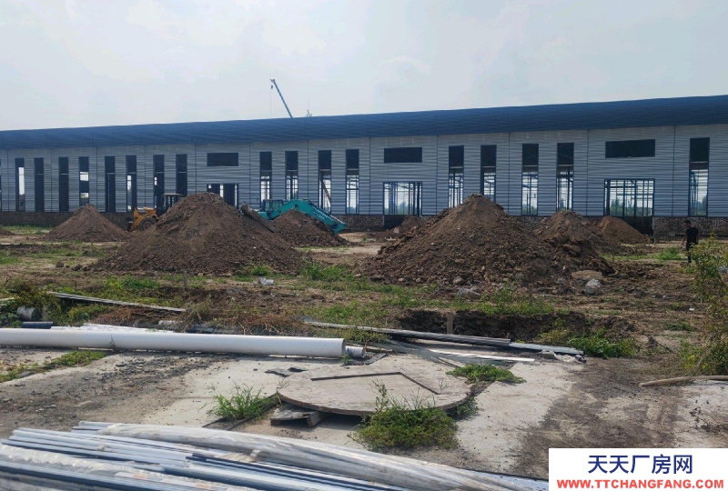 邢臺 任縣  (出售) 任澤區單層廠房層高12米，可上10頓天車