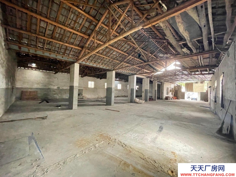 (出租) 廠房出租600平附帶兩室一廳一廚一衛可辦公