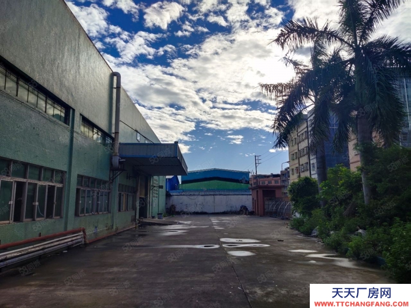 (出租) 惠州博羅園洲原房東獨院廠房出租5800方,現成裝修水電齊全,可分租!