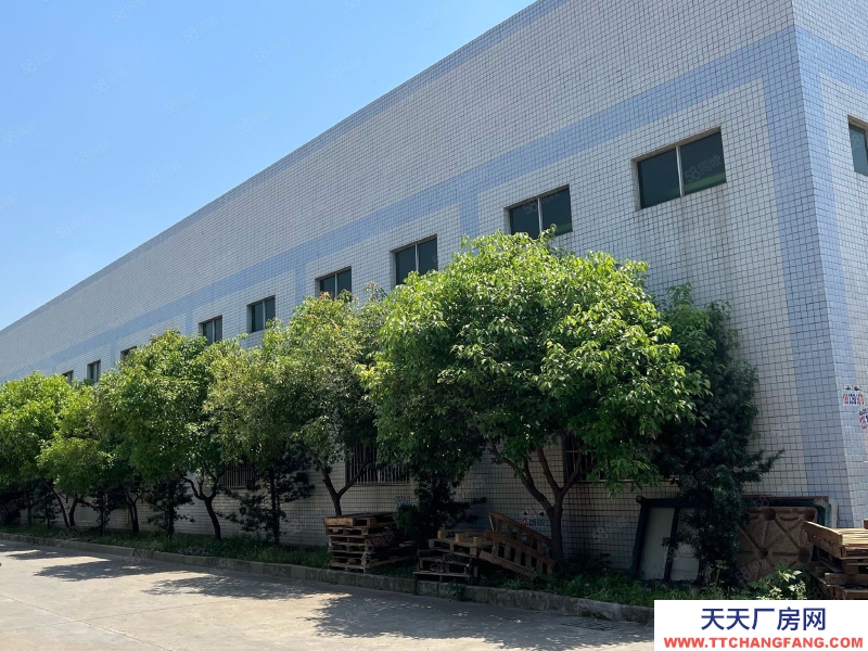 (出租) 惠州博羅食品加工龍溪原房東電鍍廠房磚墻到頂單一層面積8000平方