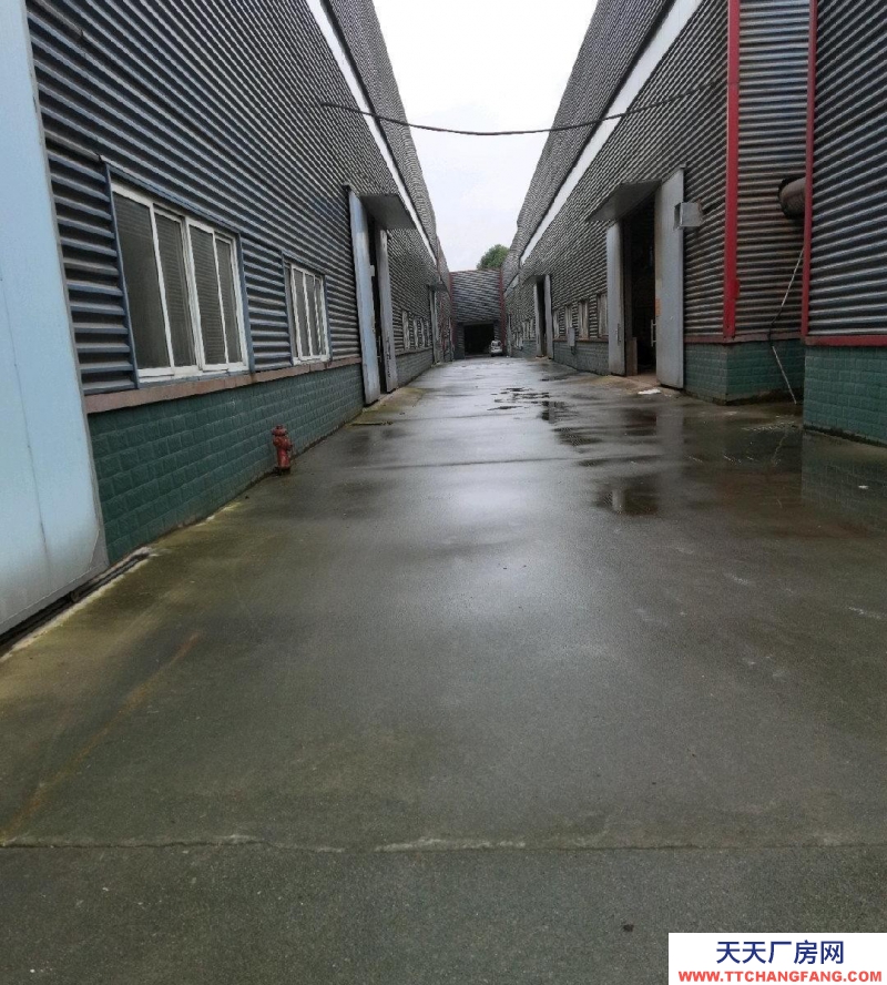 都江堰標準剛結構廠房，手續齊全。