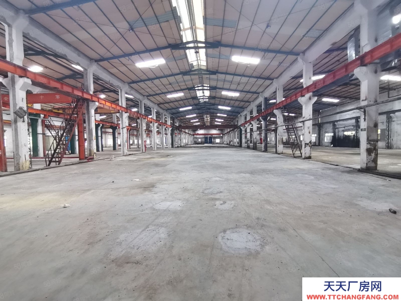 (出租) 惠州博羅生產加工羅陽洲際工業園獨院110000平鋼構廠房可分租