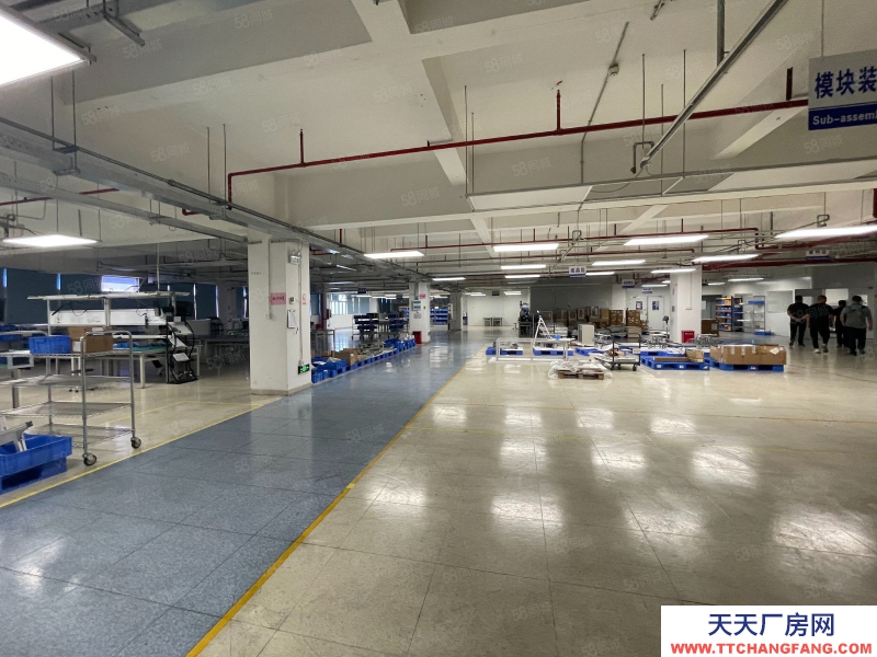 (出租) 惠州惠東臨深區園區紅本廠房倉庫帶裝修形象便利好配套齊全交通適合電商辦公