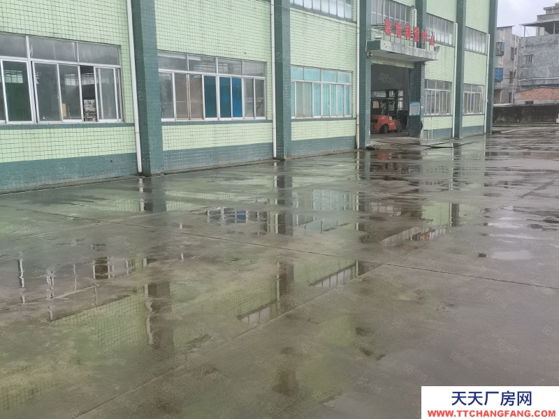 (出租) 惠州惠陽區新圩長布工業獨院鋼構3500平米廠房倉庫出租適合重工業