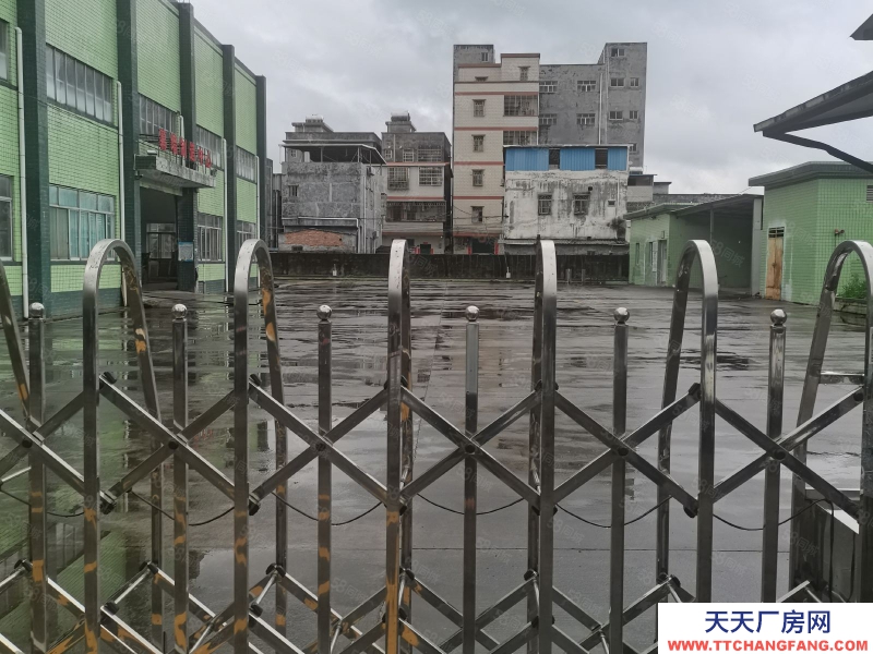 (出租) 惠州惠陽區新圩長布工業獨院鋼構3500平米廠房倉庫出租適合重工業