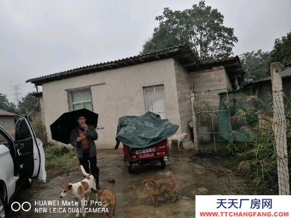 懷化市芷江區(qū)廠房出售  養(yǎng)豬場地，水電住宿廚房等齊全
