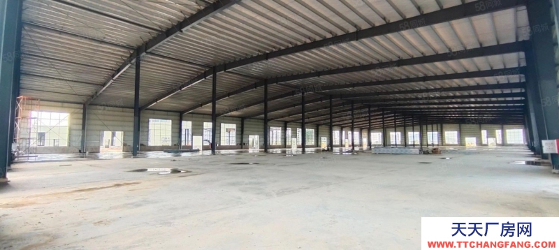 (出租) 惠州惠東11米鋼結構11500平方出租，1000平起分租