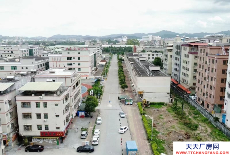 (出租) 惠州惠陽(yáng)區(qū)低價(jià)大型成熟工業(yè)200000平米廠房出租