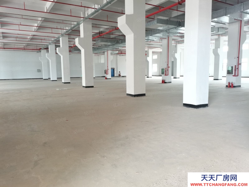(出租) 惠州惠陽(yáng)區(qū)低價(jià)大型成熟工業(yè)200000平米廠房出租