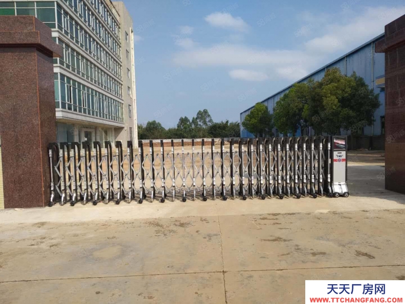 (出租) 惠州市惠東縣帶紅本鋼構廠房招租,500平米起分適合重工業