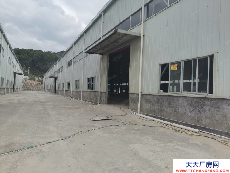 (出租) 惠州惠東原房東獨院鋼構廠房招租食品加工