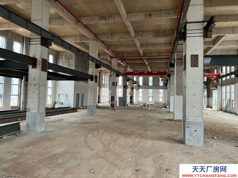 (出售) 有機(jī)場有港口，近高鐵，高速口邊的獨(dú)立產(chǎn)權(quán)房出售