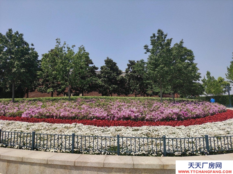 (出租) 10畝場地，辦公樓兩層400平米