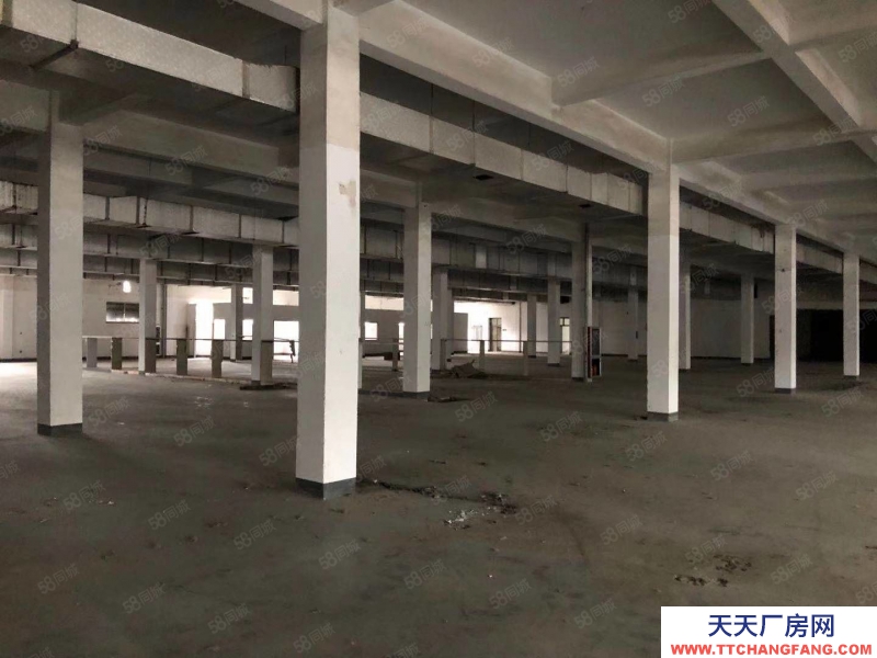 紹興市越城(出租) 皋埠獨棟兩層廠房5000方出租，大車方便，通道大