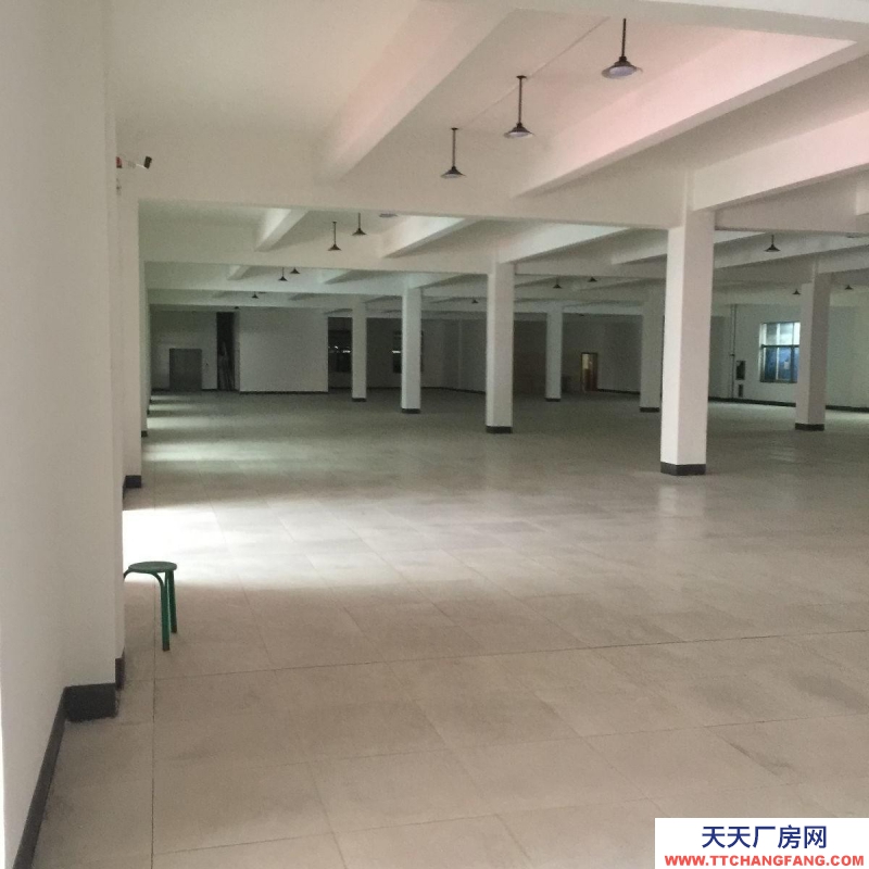 紹興市越城(出租) 袍江（湯公路與康寧路交匯）帶標準服裝廠房裝修低價出租