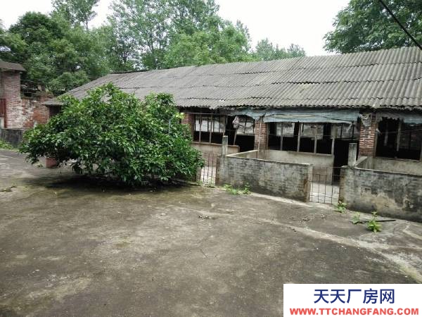 永州市祁陽區廠房出租 廠房倉庫出租:祁陽市觀音灘322國道旁,四周有圍墻,交通便捷