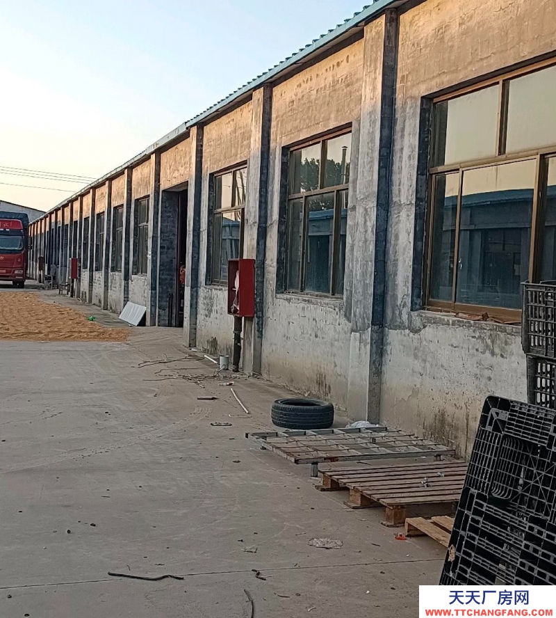 邢臺(tái) 寧晉 出租) 毛肚制品 廠房長100米，寬21米