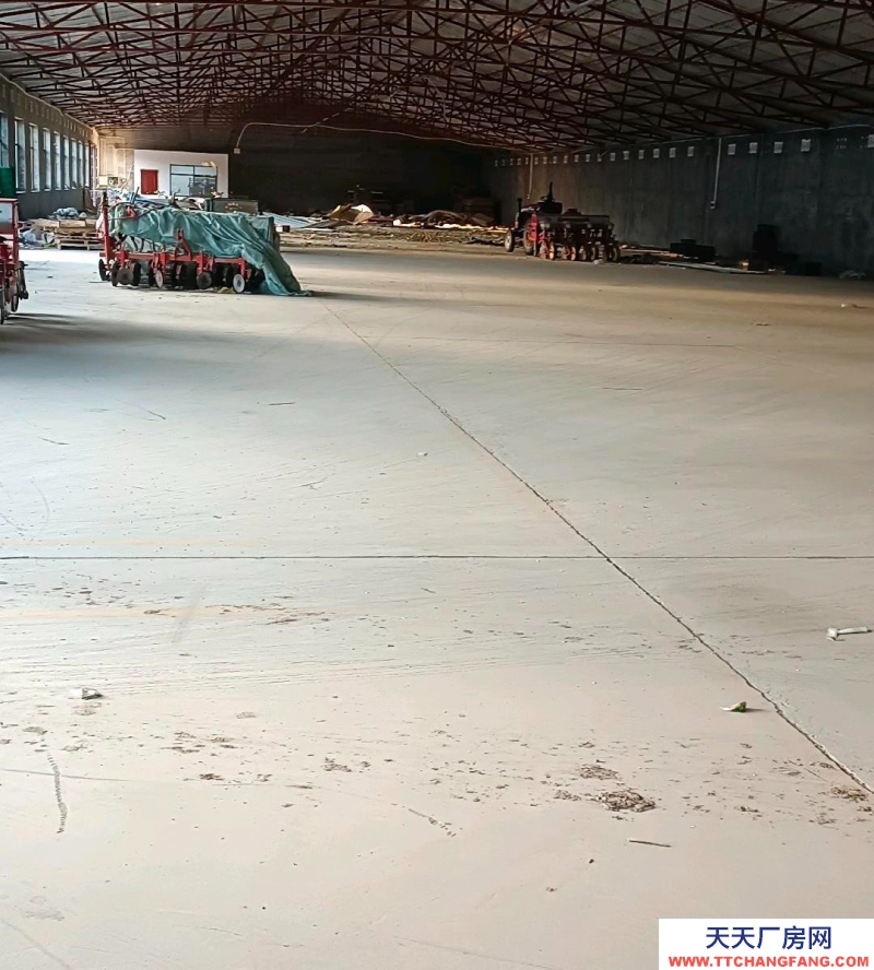 邢臺 寧晉 (出租) 水電齊全,三相電,門市庫房自己的獨院。前后都有大門,交通方便