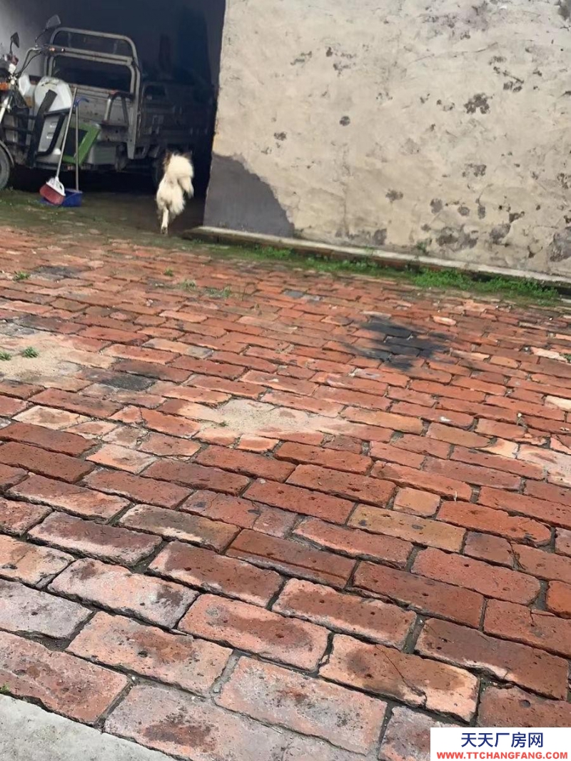 (出售) 出售平魯區東平小區南門對面個人平房