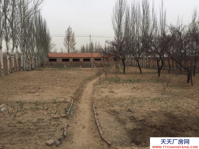 (出售) 出售平魯北平廠房占地面積大