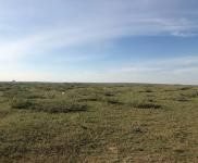 (出租)濮陽臺前 2層辦公樓門衛室廠房倉庫整體占地面積11畝