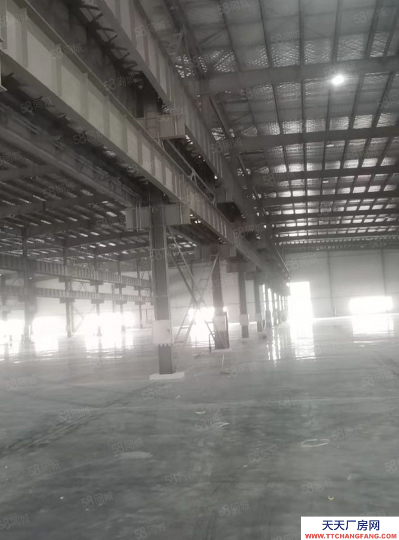 紹興市新昌(出租) 全新單一層5000方起租，30000平