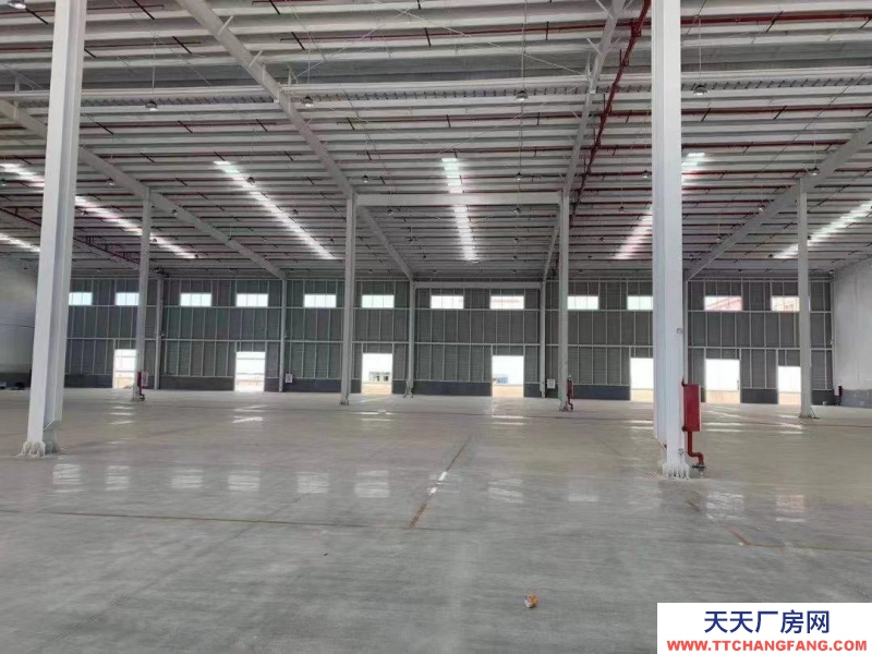 (出租) 惠州市博羅園洲鎮標準物流倉儲物流園出租冷庫/冷藏招租