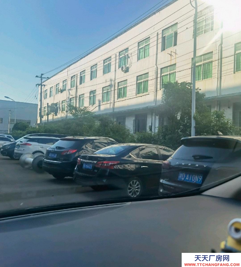 紹興市新昌(出售) 單層2600方6米高，辦公室400，可新建5000方