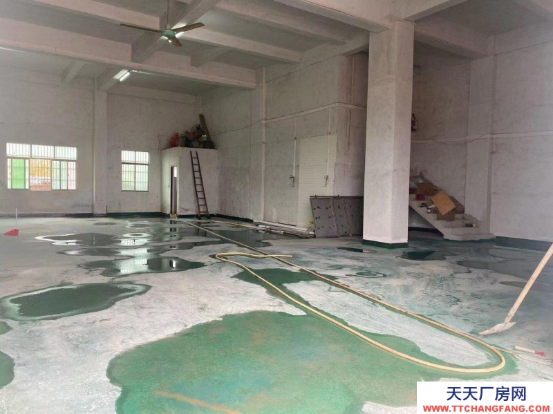 (出租) 惠州惠東五間門面層高6米可做倉(cāng)庫(kù)、商鋪等