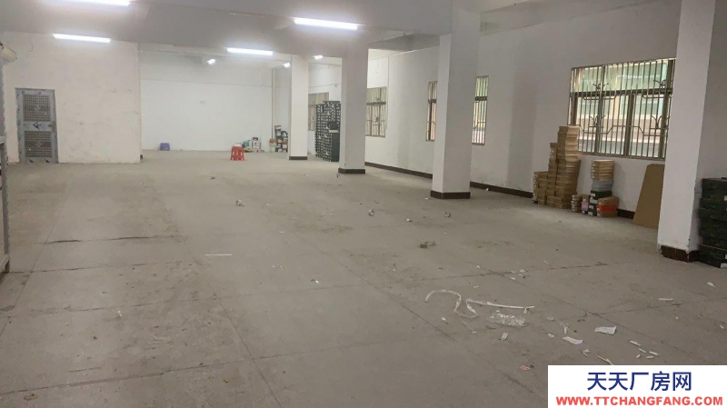 (出租) 惠州惠東交通便利 光線充足 可做淘寶倉(cāng)庫(kù) 直播辦公