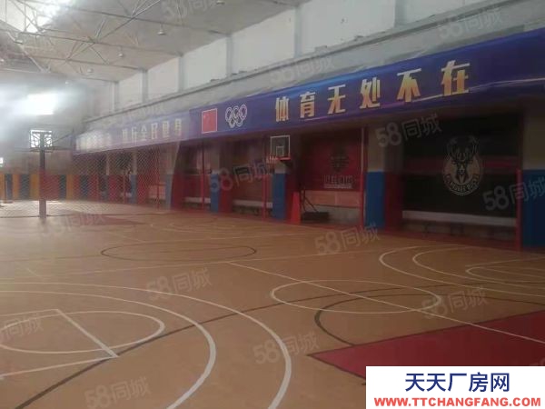 道外籃球館出租，高舉架，籃球公園出租籃球場地出租