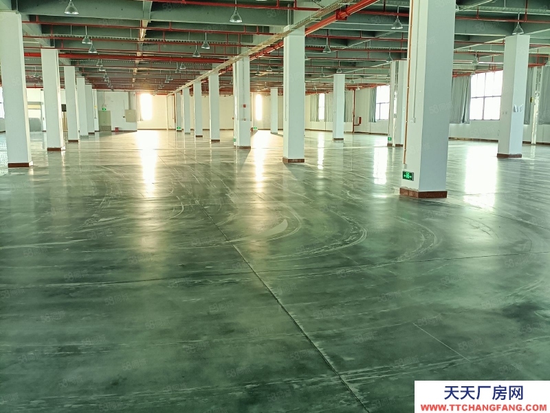 (出租) 各項環評可過，高標準廠房可分租！消防到位，3噸大貨梯！適合預制菜加工