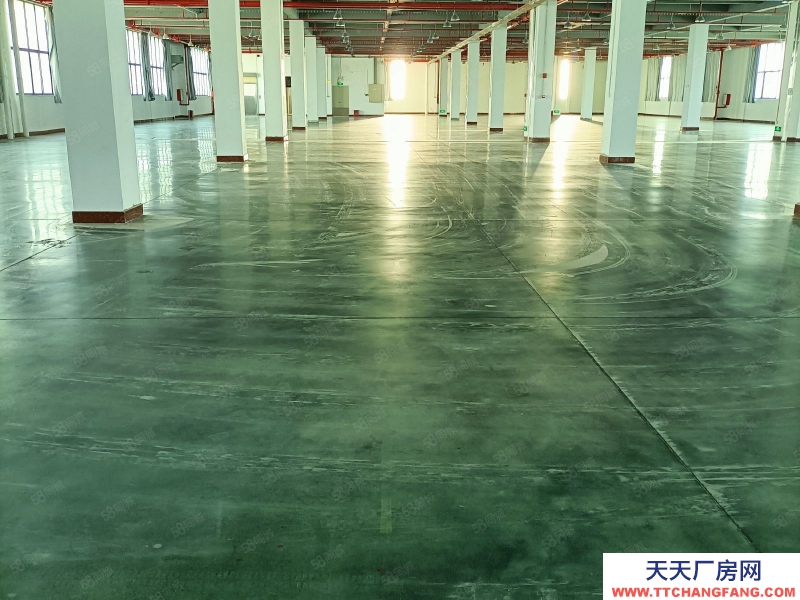 (出租) 各項(xiàng)環(huán)評(píng)可過,高標(biāo)準(zhǔn)廠房可分租!消防到位,3噸大貨梯!適合預(yù)制菜加工