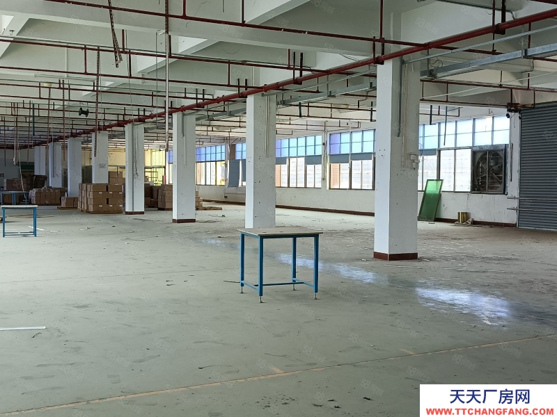 (出租) 梅州梅江順風(fēng)車站附近1100平方標(biāo)準(zhǔn)廠房拖頭可達(dá)適合電子加工