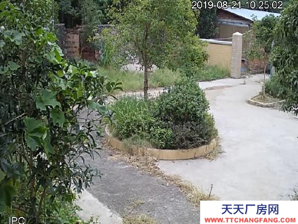 永州市東安蛋白飲料廠房 此廠房路、電、水、網通暢，適合作農莊，廠房，倉庫等。