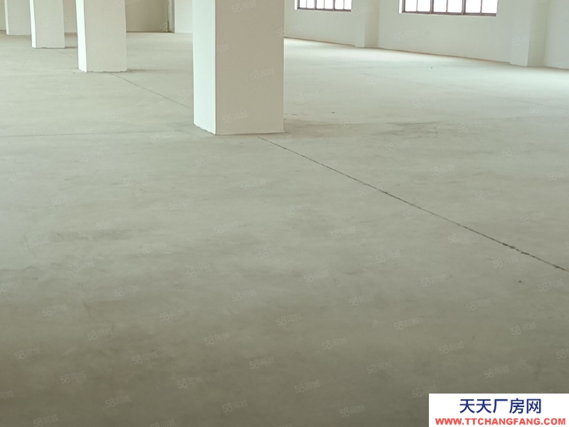 (出租) 梅州梅江江南標準廠房大貨梯有消防，適合烘培糕點