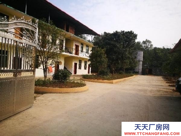 永州市東安調(diào)味面制品廠房 大型廠房整體出租或分棟出租