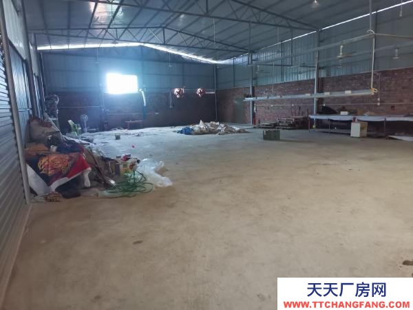 永州市新田罐頭廠房 安靜，明亮，透氣性好