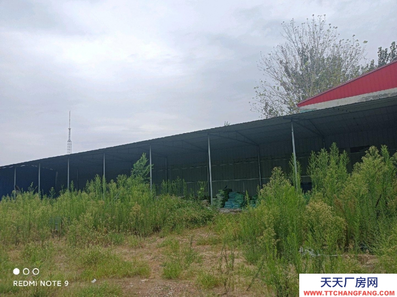 邢臺(tái) 廣宗 (出租) 位于開發(fā)區(qū),交通便利 食用油、油脂及其制品廠房