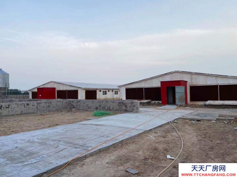 邢臺(tái) 廣宗 (出租) 自建養(yǎng)豬場,可容納1800頭肥豬歡迎老板咨詢