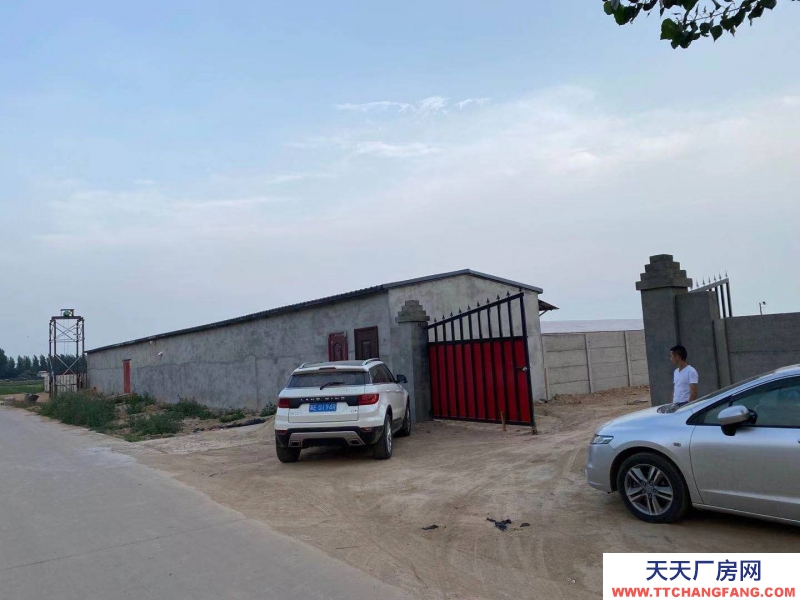 邢臺(tái) 廣宗 (出租) 自建養(yǎng)豬場,可容納1800頭肥豬歡迎老板咨詢