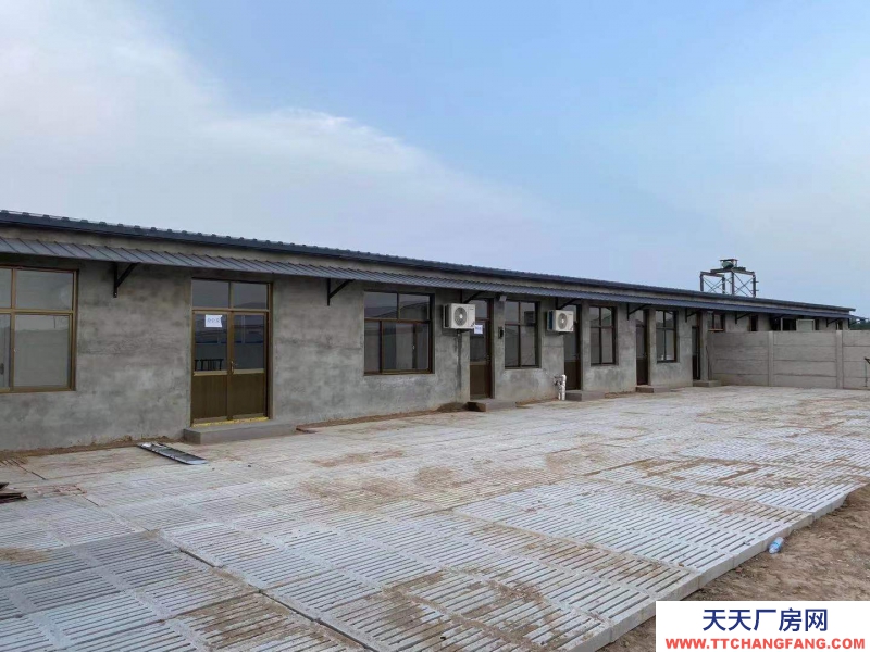 邢臺(tái) 廣宗 (出租) 自建養(yǎng)豬場,可容納1800頭肥豬歡迎老板咨詢