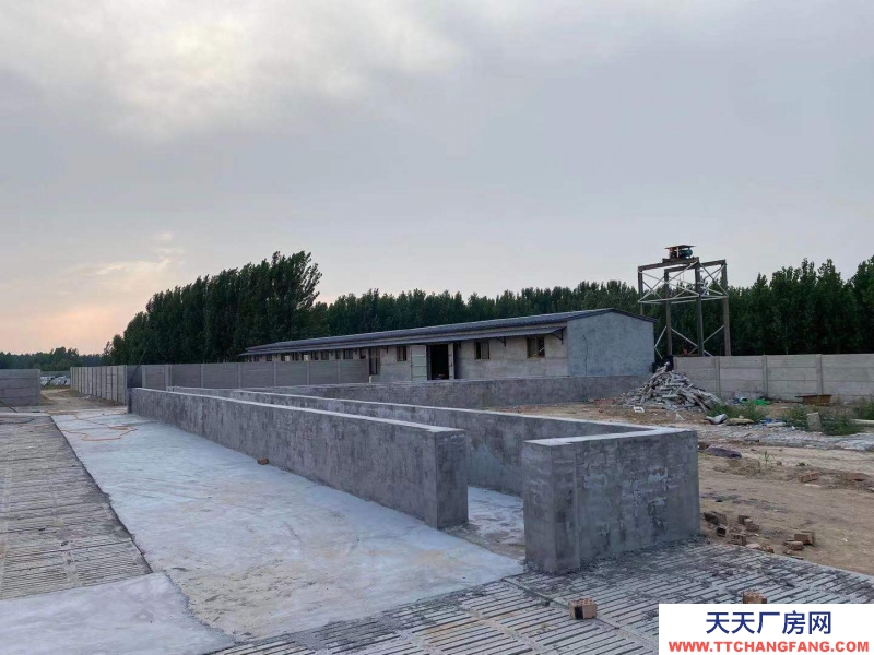 邢臺(tái) 廣宗 (出租) 自建養(yǎng)豬場,可容納1800頭肥豬歡迎老板咨詢