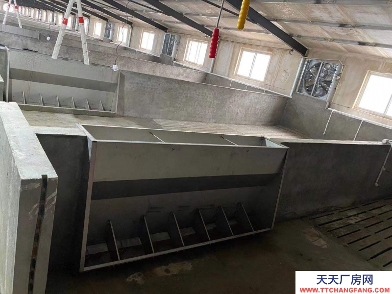邢臺(tái) 廣宗 (出租) 自建養(yǎng)豬場,可容納1800頭肥豬歡迎老板咨詢