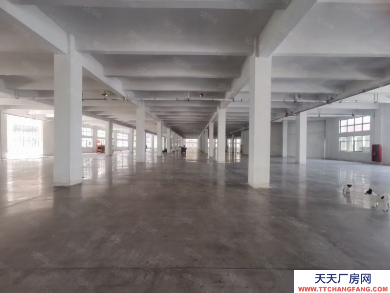 紹興市上虞區(出租) 位置上虞瀝海，廠房漂亮，層高一搜6米。二樓5米適合用電量行業或倉等