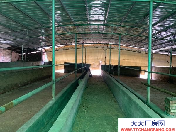 永州市雙牌養殖廠房 適合畜牧業養殖，牛羊雞鴨豬