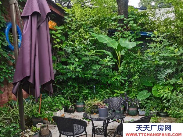 婁底市婁星餅干廠房  清潭學校附近1800平米的獨門獨院倉庫出租