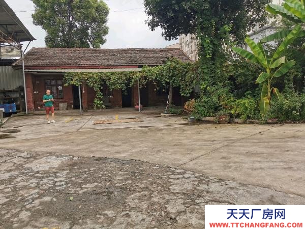 婁底市婁星物資倉庫 獨立院落，環(huán)境雅靜，周邊無民居