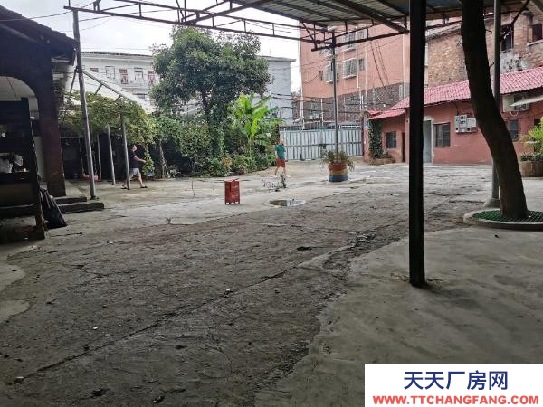 婁底市婁星物資倉庫 獨立院落，環(huán)境雅靜，周邊無民居