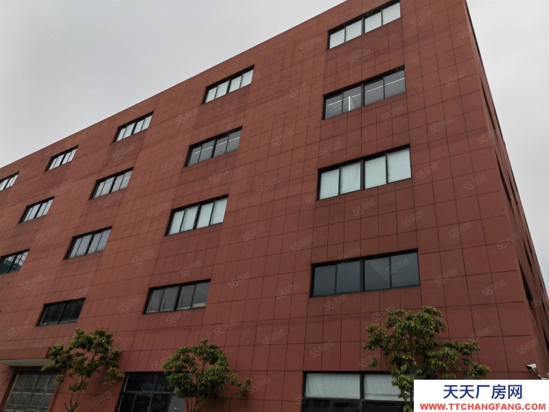 紹興市上虞區(qū)(出售) 出售上虞74畝土地，現(xiàn)有2.3萬方廠房，還有十畝土地可以造.